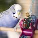 how to make a bird toy