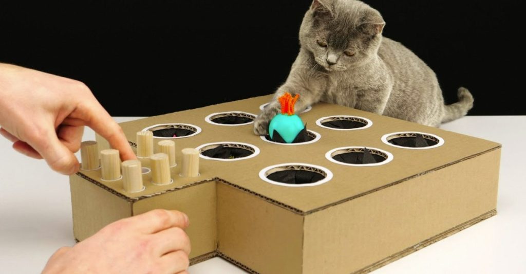 diy cat toys